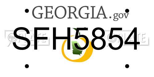 SFH5854 Georgia License Plate