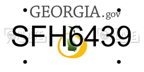 SFH6439 Georgia License Plate