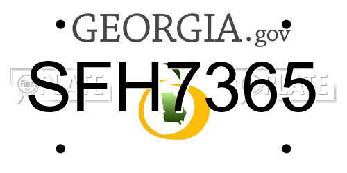 SFH7365 Georgia License Plate