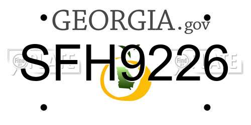 SFH9226 Georgia License Plate