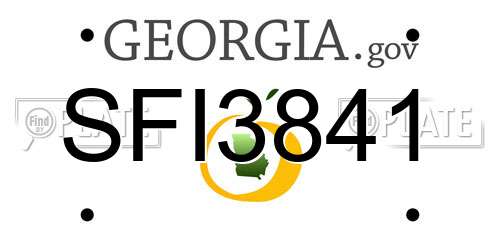 SFI3841 Georgia License Plate