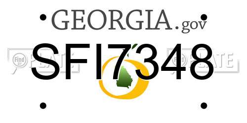 SFI7348 Georgia License Plate