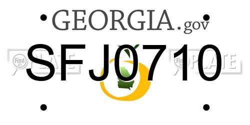 SFJ0710 Georgia License Plate