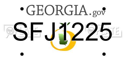 SFJ1225 Georgia License Plate