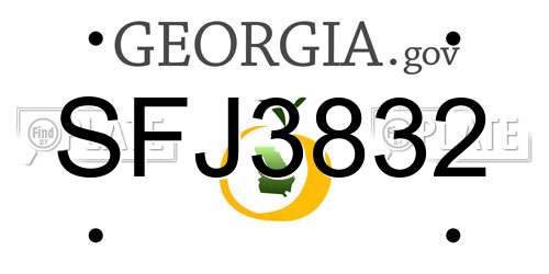 SFJ3832 Georgia License Plate