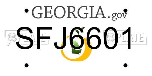 SFJ6601 Georgia License Plate