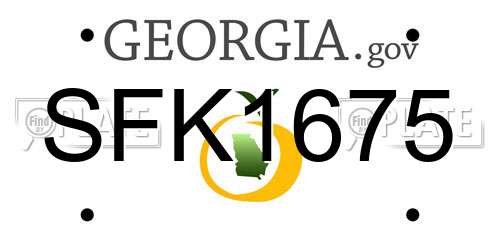 SFK1675 Georgia License Plate