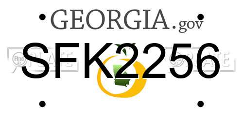 SFK2256 Georgia License Plate