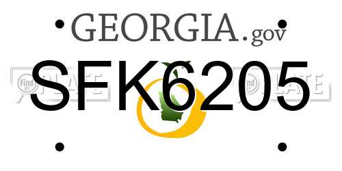 SFK6205 Georgia License Plate