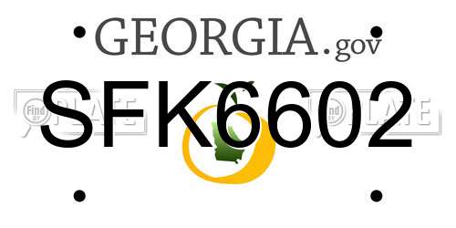 SFK6602 Georgia License Plate