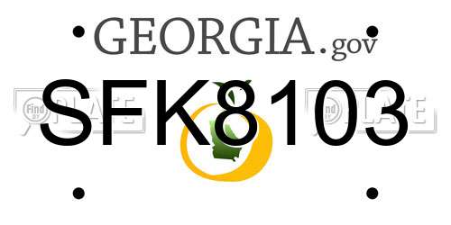 SFK8103 Georgia License Plate