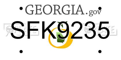SFK9235 Georgia License Plate