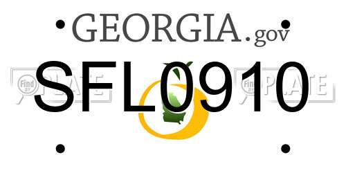 SFL0910 Georgia License Plate