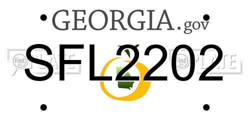 SFL2202 Georgia License Plate