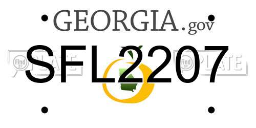 SFL2207 Georgia License Plate