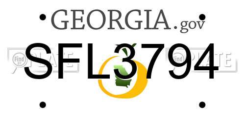 SFL3794 Georgia License Plate