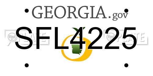 SFL4225 Georgia License Plate