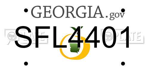 SFL4401 Georgia License Plate