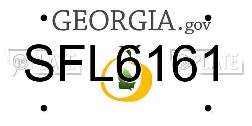 SFL6161 Georgia License Plate