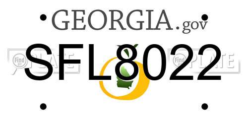 SFL8022 Georgia License Plate