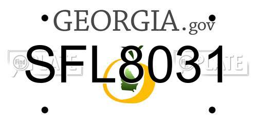 SFL8031 Georgia License Plate