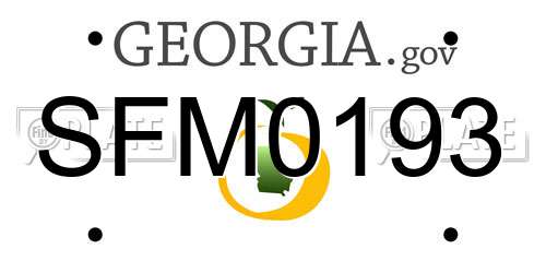 SFM0193 Georgia License Plate
