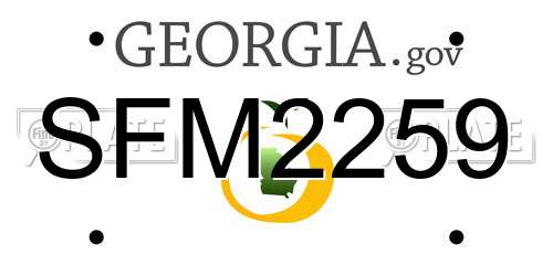 SFM2259 Georgia License Plate