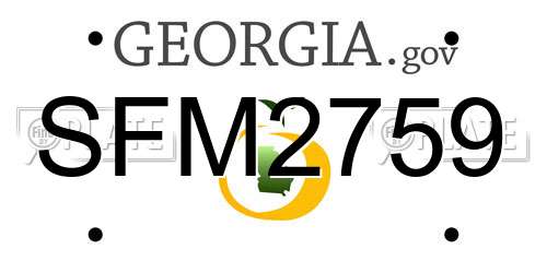 SFM2759 Georgia License Plate