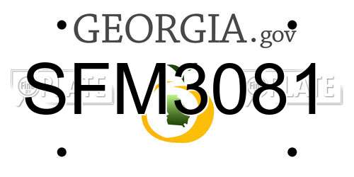 SFM3081 Georgia License Plate