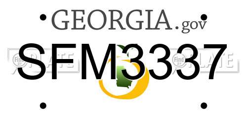 SFM3337 Georgia License Plate