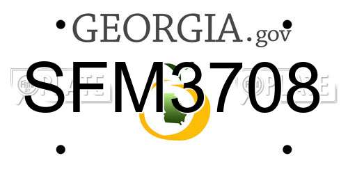 SFM3708 Georgia License Plate