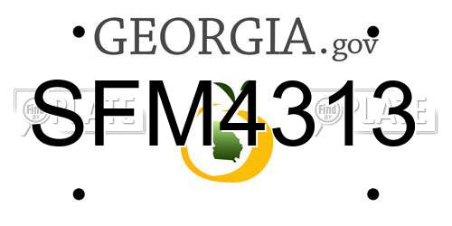 SFM4313 Georgia License Plate