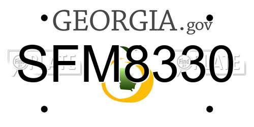 SFM8330 Georgia License Plate