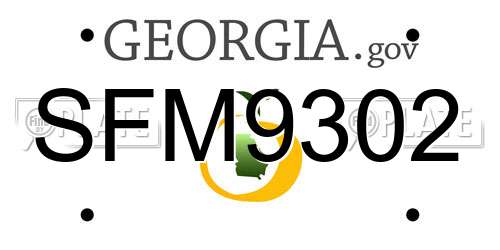 SFM9302 Georgia License Plate
