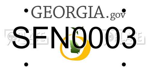 SFN0003 Georgia License Plate
