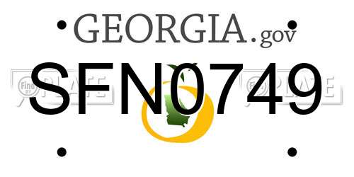 SFN0749 Georgia License Plate