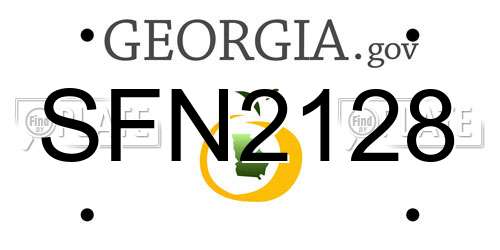 SFN2128 Georgia License Plate