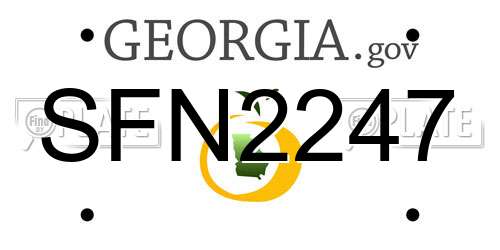 SFN2247 Georgia License Plate