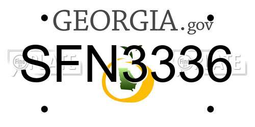SFN3336 Georgia License Plate