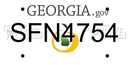 SFN4754 Georgia License Plate