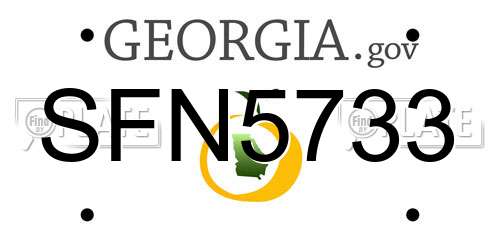 SFN5733 Georgia License Plate