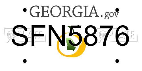 SFN5876 Georgia License Plate