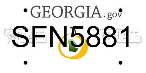 SFN5881 Georgia License Plate