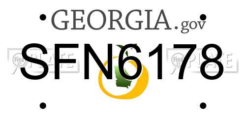SFN6178 Georgia License Plate