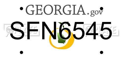 SFN6545 Georgia License Plate