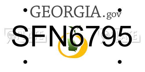 SFN6795 Georgia License Plate