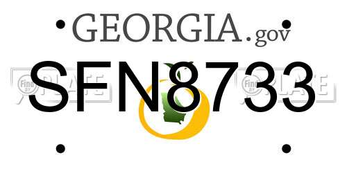 SFN8733 Georgia License Plate