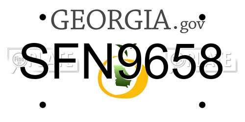 SFN9658 Georgia License Plate