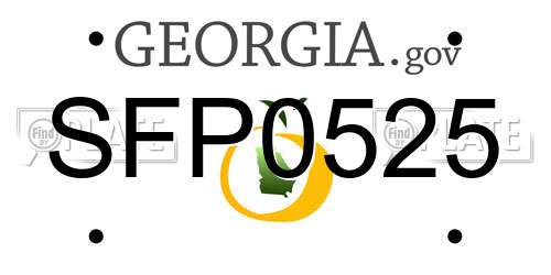 SFP0525 Georgia License Plate