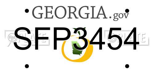 SFP3454 Georgia License Plate